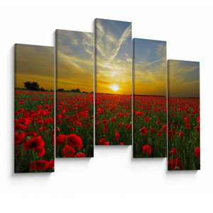 Schilderij - Klaprozenveld (V020986V12590)
