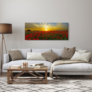 Schilderij - Klaprozenveld (2)