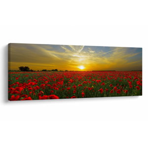 Schilderij - Klaprozenveld (V020986V14558)