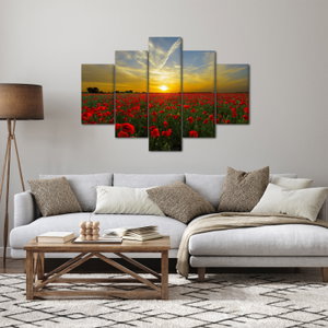 Schilderij - Klaprozenveld (3)