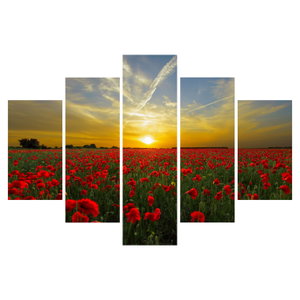 Schilderij - Klaprozenveld (6)