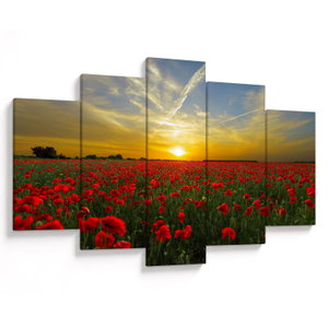 Schilderij - Klaprozenveld (V020986V150105)