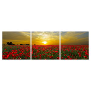 Schilderij - Klaprozenveld (6)