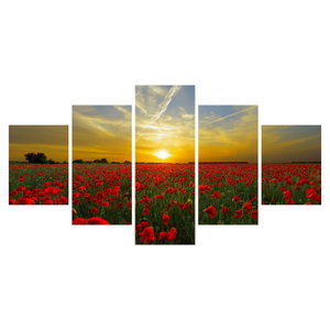Schilderij - Klaprozenveld (6)