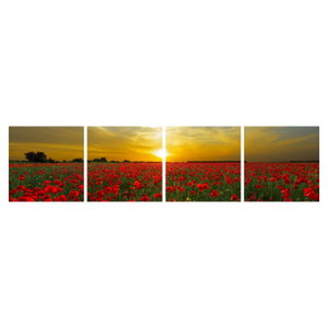 Schilderij - Klaprozenveld (6)