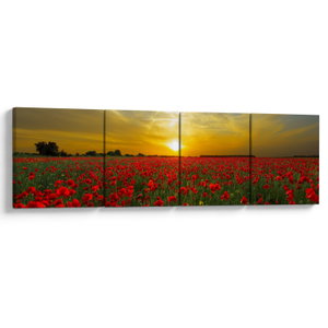 Schilderij - Klaprozenveld (V020986V16040)