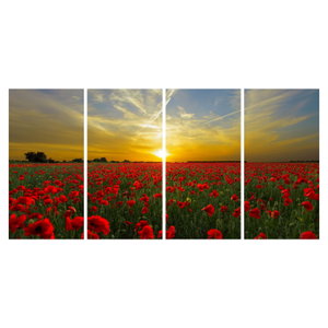 Schilderij - Klaprozenveld (6)