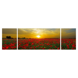 Schilderij - Klaprozenveld (6)