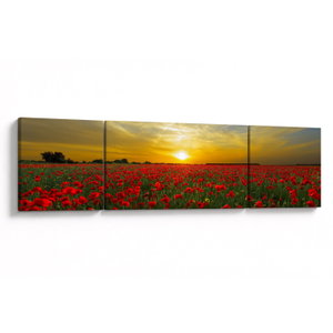 Schilderij - Klaprozenveld (V020986V17050)