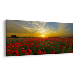Schilderij - Klaprozenveld (V020986V200100)