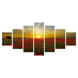 Schilderij - Klaprozenveld (6)