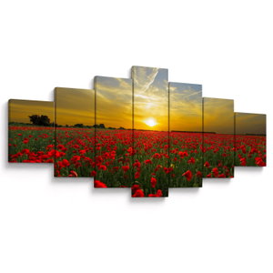 Schilderij - Klaprozenveld (V020986V210100)