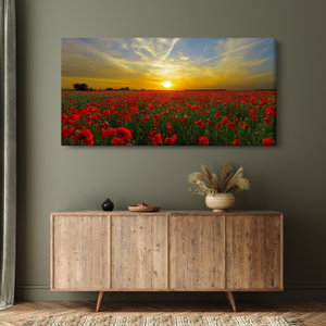 Schilderij - Klaprozenveld (2)