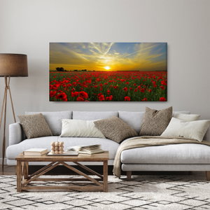 Schilderij - Klaprozenveld (3)