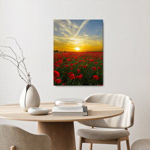 Schilderij - Klaprozenveld (2)