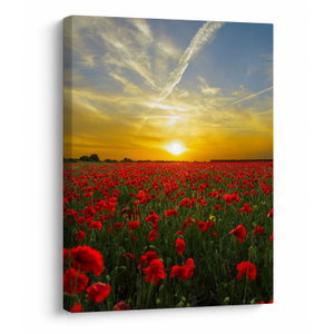 Schilderij - Klaprozenveld (V020986V3040)