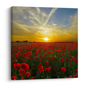 Schilderij - Klaprozenveld (V020986V5050)