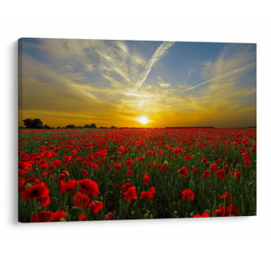 Schilderij - Klaprozenveld (V020986V7050)