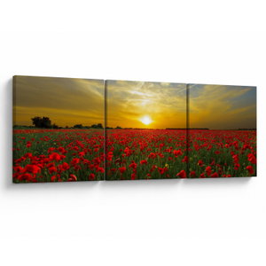 Schilderij - Klaprozenveld (V020986V9030)