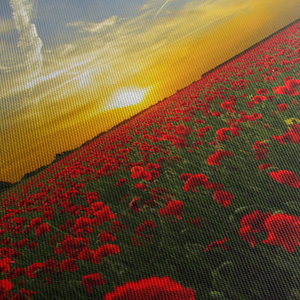 Schilderij - Klaprozenveld (met klok) (5)