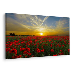 Schilderij - Klaprozenveld (V020986V9060)