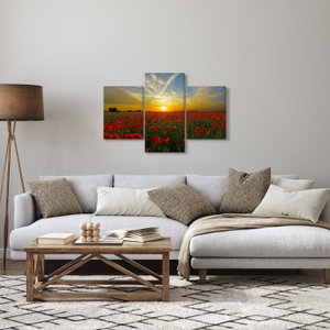 Schilderij - Klaprozenveld (3)