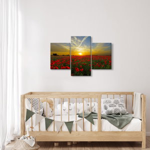 Schilderij - Klaprozenveld (4)
