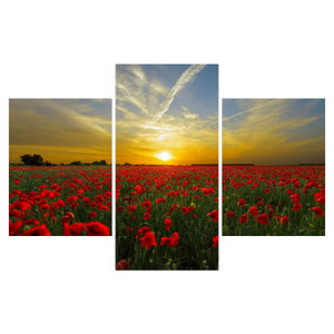 Schilderij - Klaprozenveld (6)