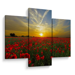 Schilderij - Klaprozenveld (V020986V90603PCS)