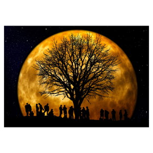 Schilderij - Maan en silhouetten (6)