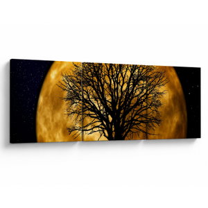 Schilderij - Maan en silhouetten (V020995V12040)