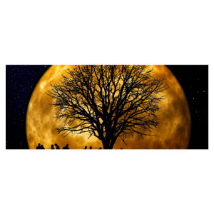 Schilderij - Maan en silhouetten (6)