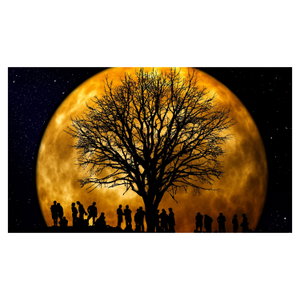Schilderij - Maan en silhouetten (6)