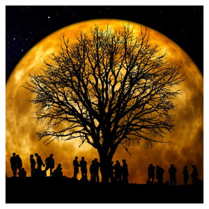 Glasschilderij - Maan en silhouetten (5)