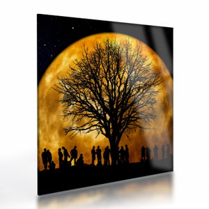 Glasschilderij - Maan en silhouetten (V020995V3030GD)