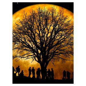 Schilderij - Maan en silhouetten (6)