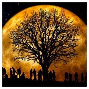 Schilderij - Maan en silhouetten (6)