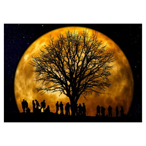 Schilderij - Maan en silhouetten (6)
