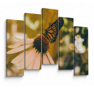 Tablou cu fluture pe floare