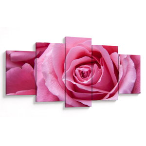 Rózsa képe (V021234V150805PCS)