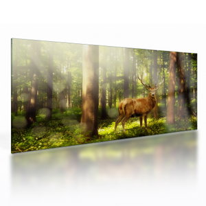 Glasschilderij - Hert in bos (V021263V10050GD)