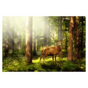 Schilderij - Hert in bos (6)