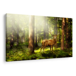 Schilderij - Hert in bos (V021263V150100)
