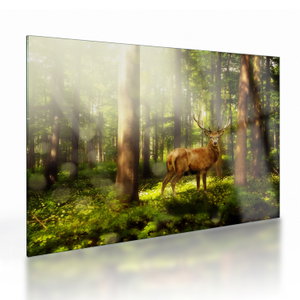 Glasschilderij - Hert in bos (V021263V7050GD)