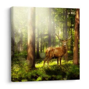 Schilderij - Hert in bos (V021263V7070)
