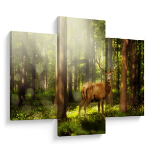 Schilderij - Hert in bos (V021263V90603PCS)