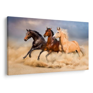 Schilderij - Wilde paarden