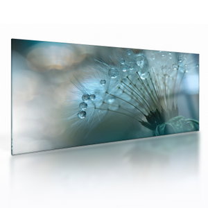 Glasschilderij - Paardebloem, petrol (V021451V10050GD)