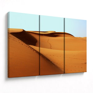 Schilderij - Sporen in de woestijn