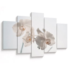 Bild auf Leinwand - Weiße Orchidee